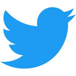 Bývalé logo sociální sítě X (Twitter)