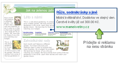 AdSense